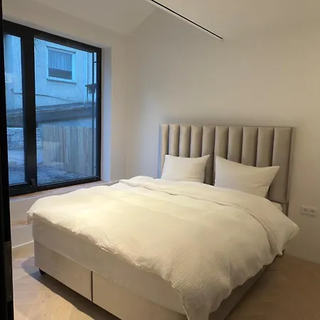 Innenstadt-loft Mit Terrassen-oase Apartment *