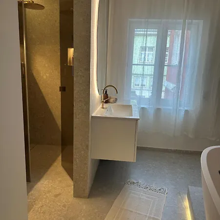 Apartment Innenstadt-loft Mit Terrassen-oase *